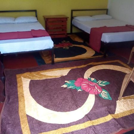 Bed and Breakfast Lily Adam'S Peak Nallathanniya Exterior foto