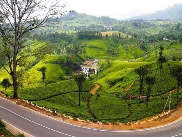 Bed and Breakfast Lily Adam'S Peak Nallathanniya Exterior foto
