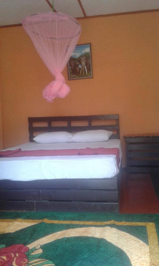 Bed and Breakfast Lily Adam'S Peak Nallathanniya Exterior foto