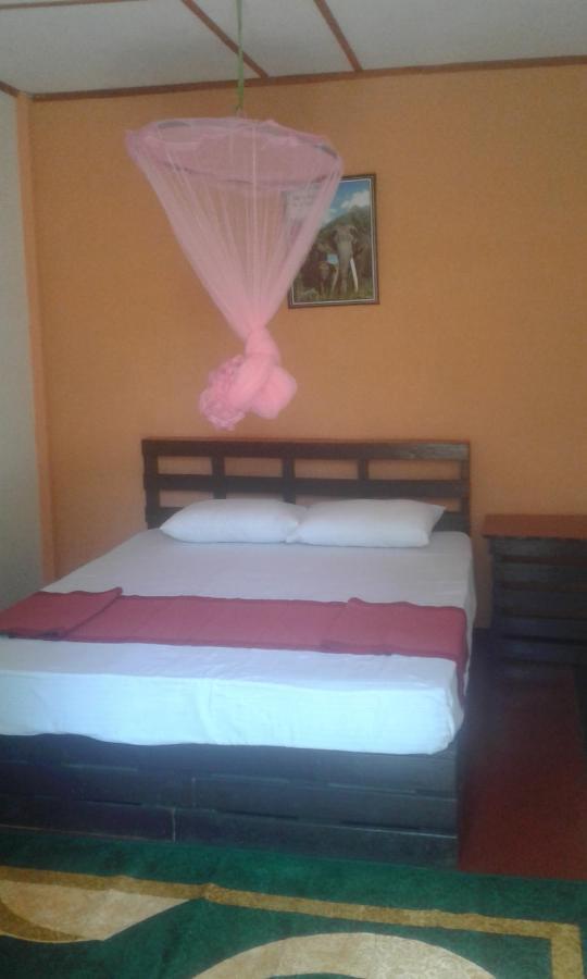 Bed and Breakfast Lily Adam'S Peak Nallathanniya Exterior foto